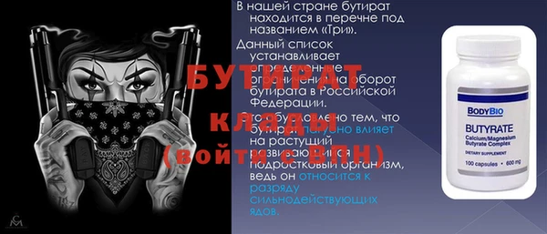 индика Вяземский