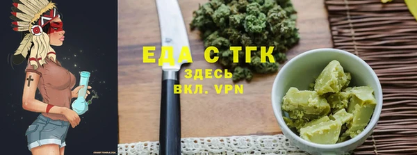 индика Вяземский