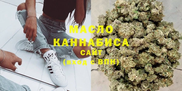 индика Вяземский