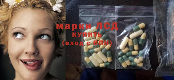 индика Вяземский