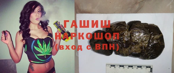 индика Вяземский