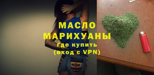 индика Вяземский
