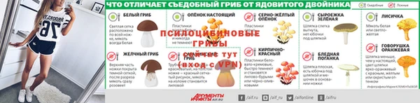 индика Вяземский
