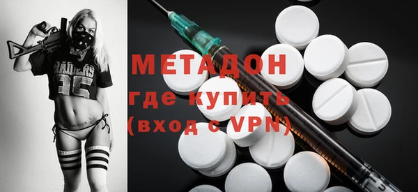 индика Вяземский