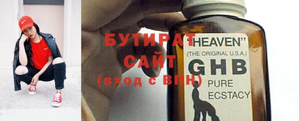индика Вяземский