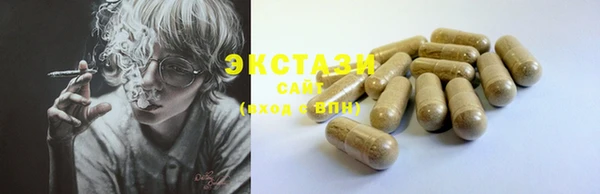 индика Вяземский