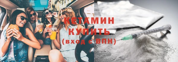 индика Вяземский